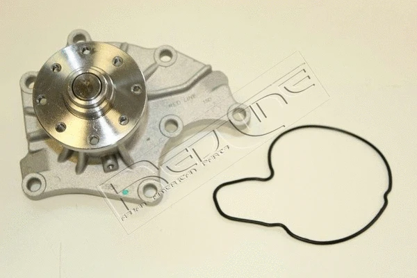 Water Pump, engine cooling (28IZ004)