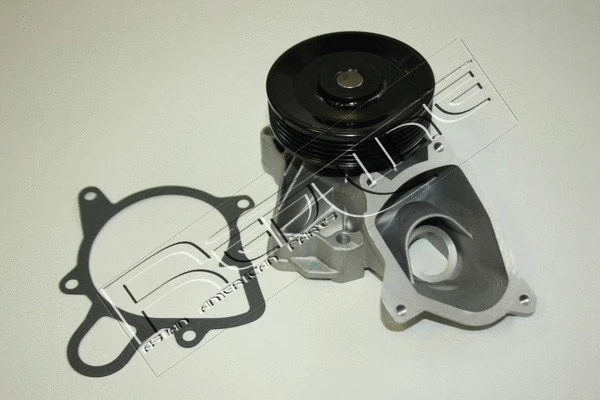 Water Pump, engine cooling (28RV010)