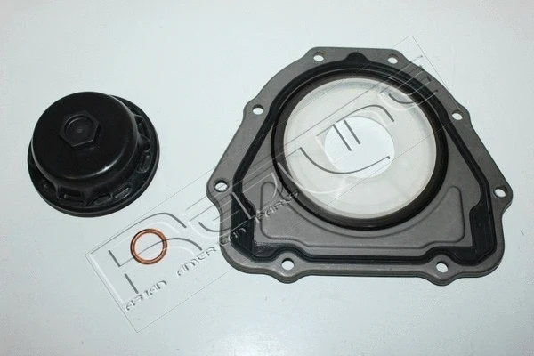 Gasket Kit, crankcase (33NI050)