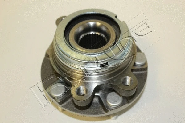 Wheel Hub (24NI066)