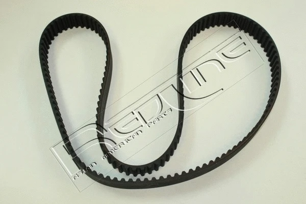 Timing Belt (29MZ020)