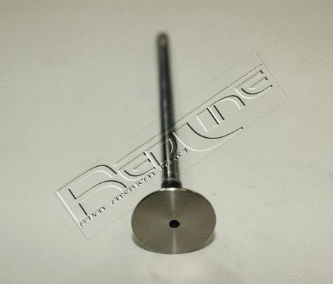 Exhaust Valve