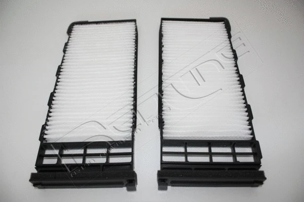 Filter, cabin air (36NI038)