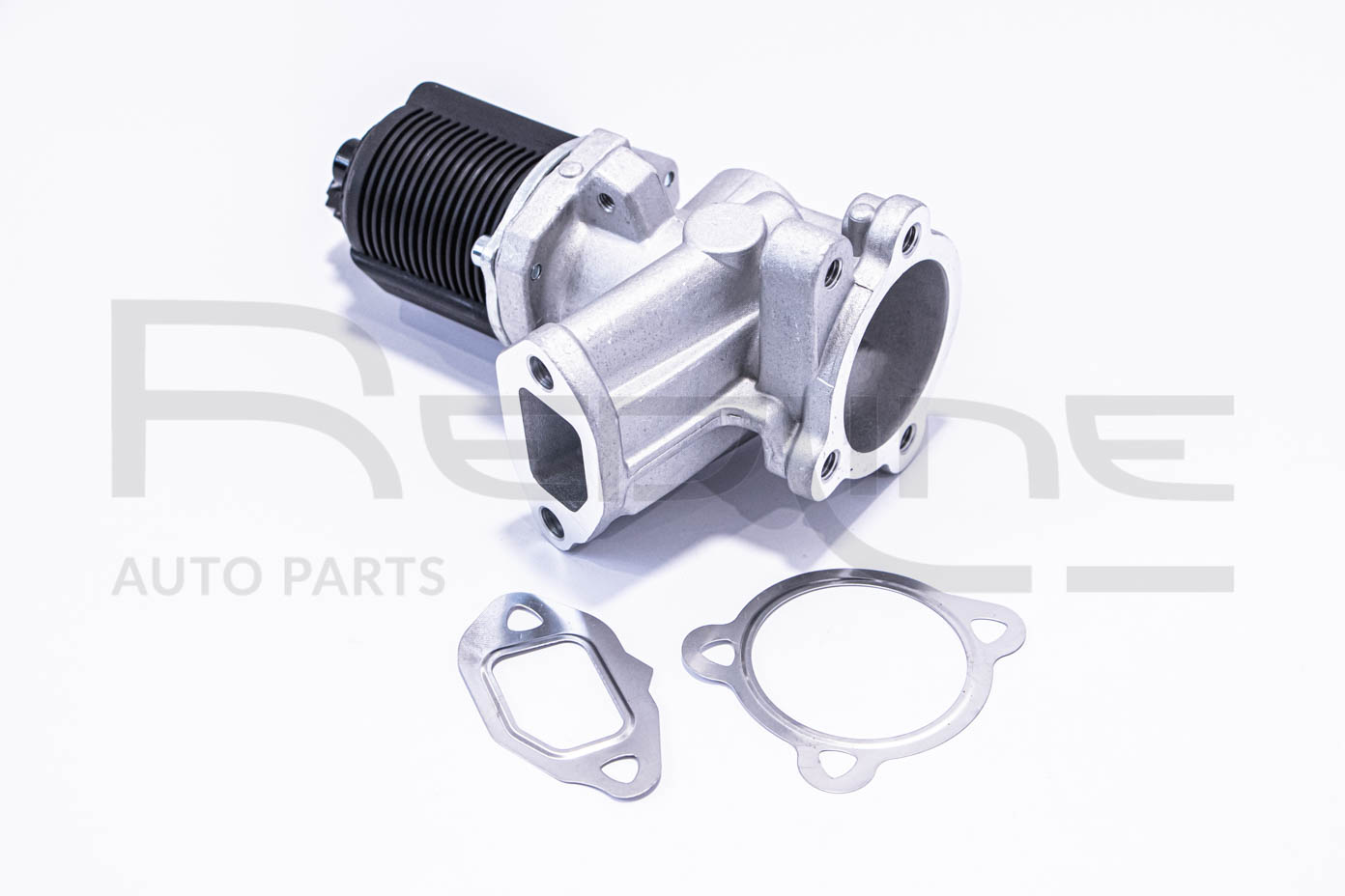 EGR Valve (83SZ000)