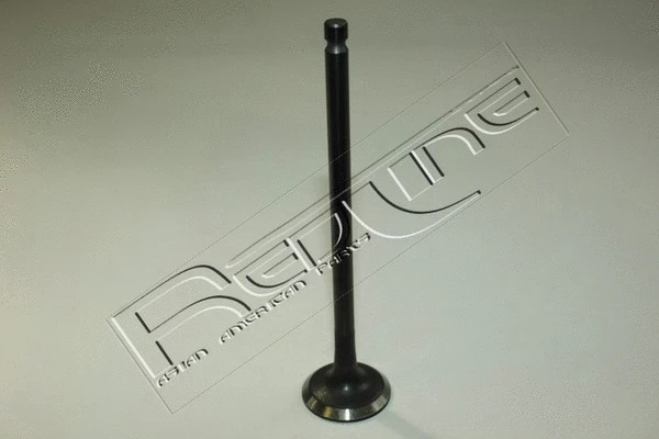 Exhaust Valve (15HY021)