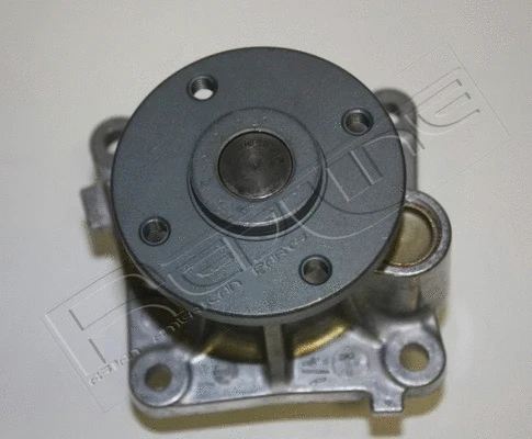 Water Pump, engine cooling (28MI035)
