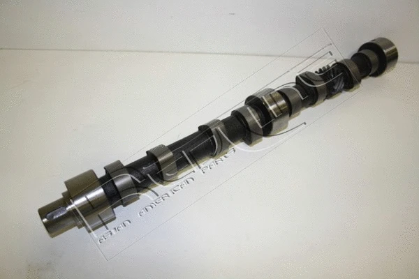 Camshaft (16IZ002)