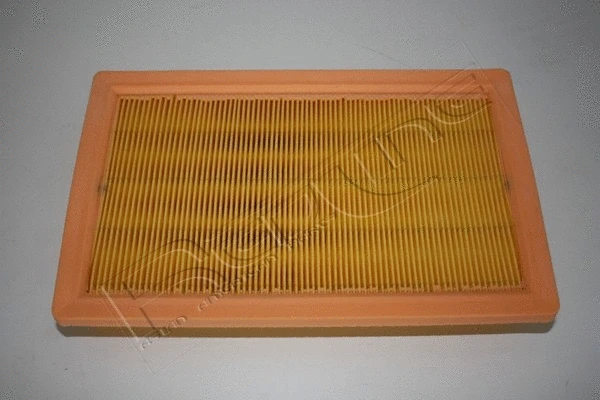 Air Filter (36PG000)