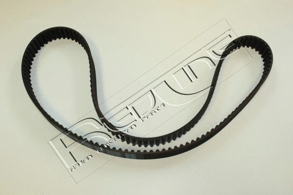 Timing Belt (29RV004)