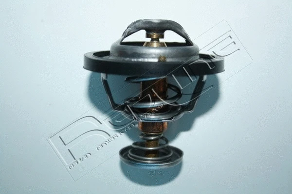 Thermostat, coolant (55MI005)