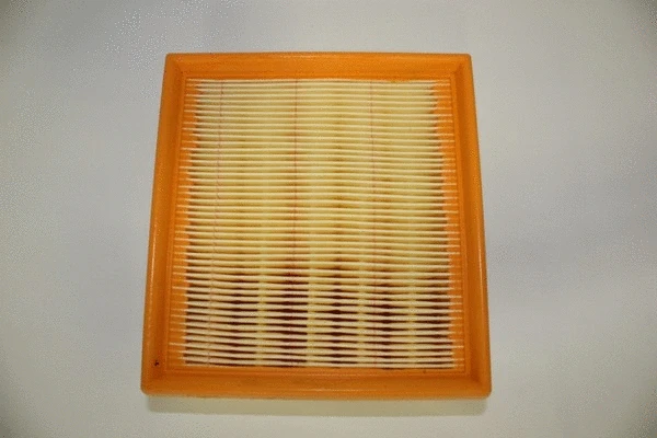 Air Filter (36SZ013)