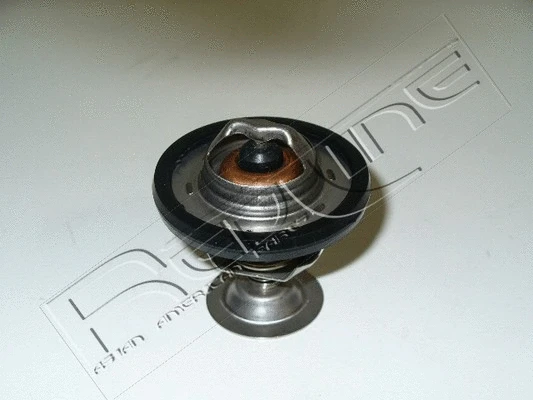Thermostat, coolant (55RV001)