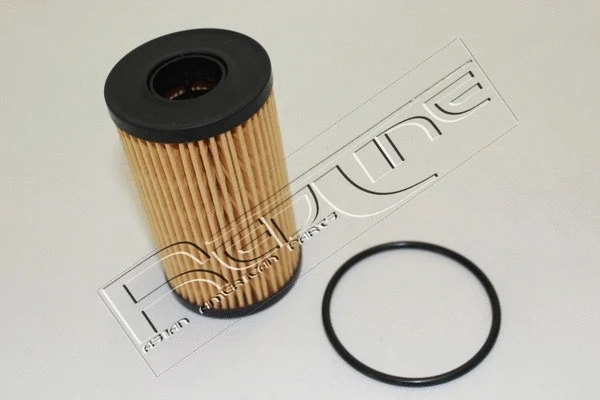Oil Filter (38RV020)