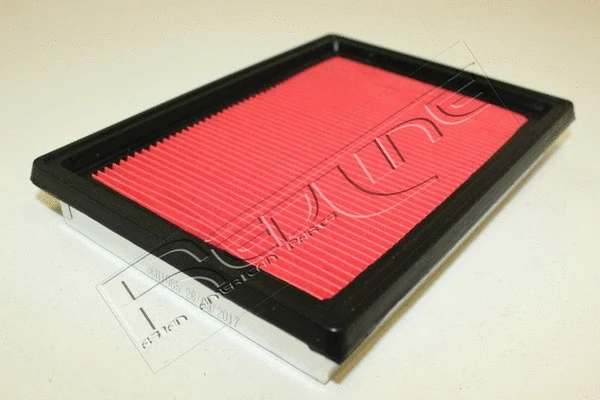 Air Filter (36NI065)