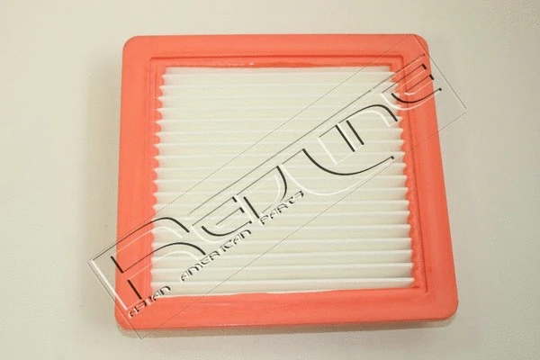 Air Filter (36NI066)