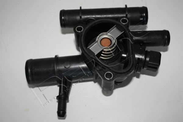 Thermostat, coolant (55NI007)