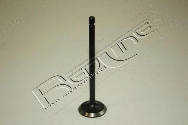 Intake Valve (15MI012)