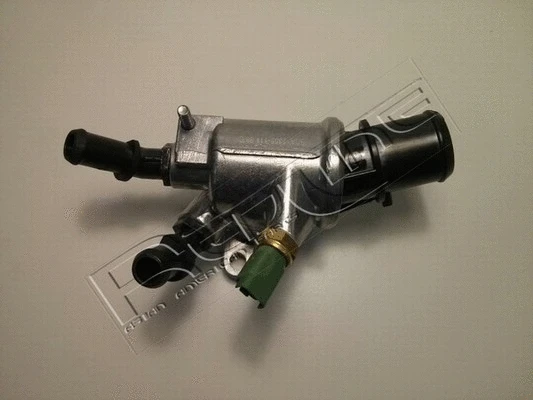Thermostat, coolant (55SZ005)