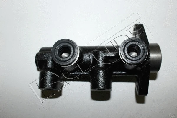 Brake Master Cylinder (09DW001)