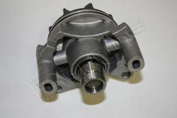 Water Pump, engine cooling (28NI035)