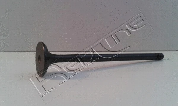 Intake Valve (15SZ011)