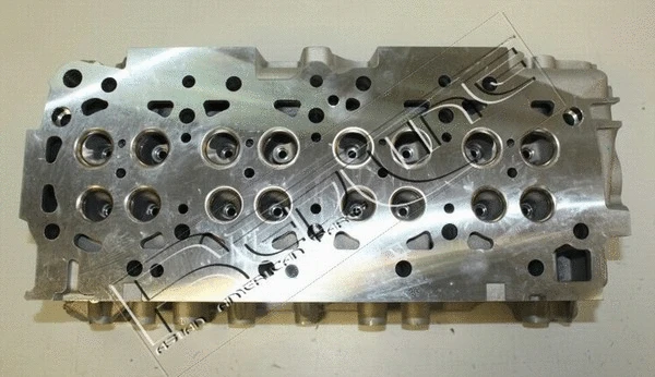 Cylinder Head (21NI030)