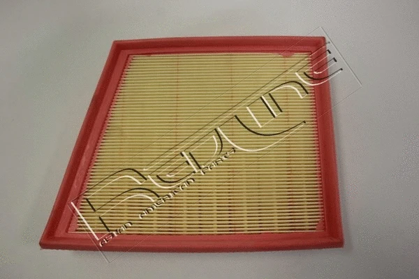 Air Filter (36RV028)
