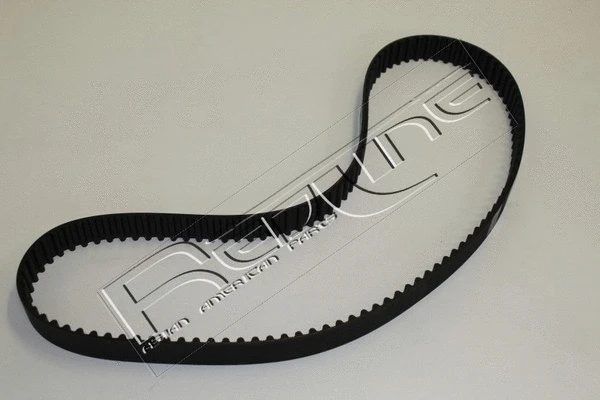 Timing Belt (29NI021)