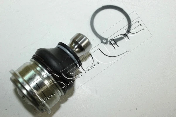 Ball Joint (40NI181)