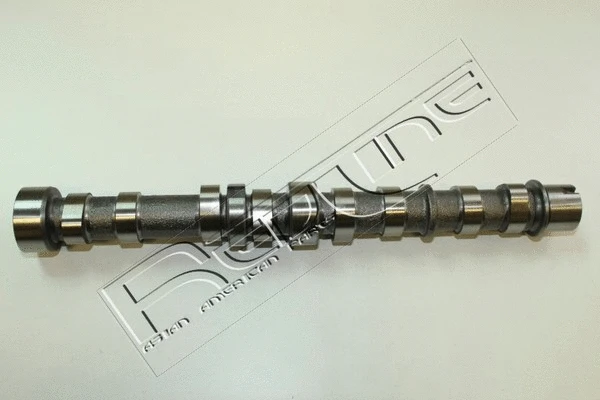Camshaft (16SZ007)
