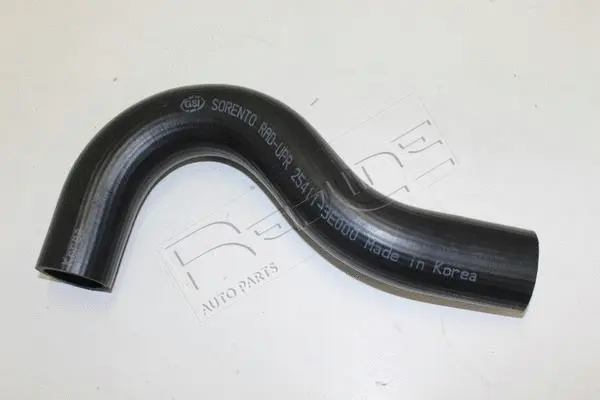 Radiator Hose (48KI008)