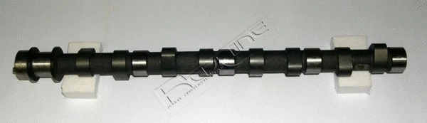 Camshaft (16MI000)