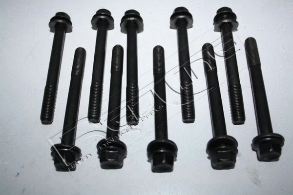 Cylinder Head Bolt Set (00DW000)