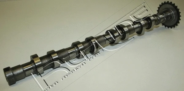 Camshaft (16KI009)