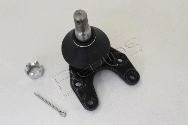 Ball Joint (40MZ078)
