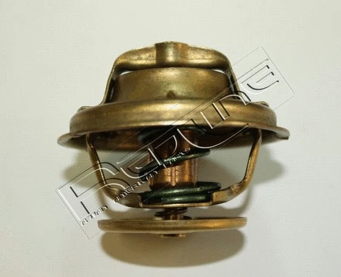 Thermostat, coolant (55TA001)