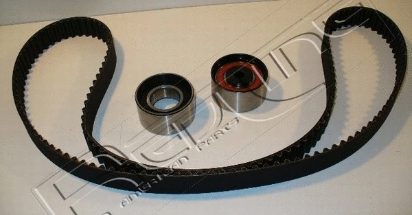 Timing Belt Kit (30MZ003)