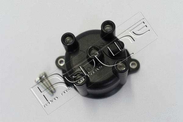 Distributor Cap