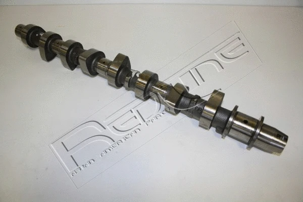 Camshaft (16TO003)
