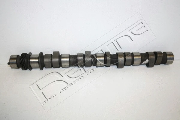 Camshaft (16MI006)