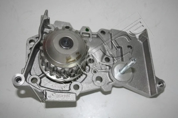 Water Pump, engine cooling (28NI039)