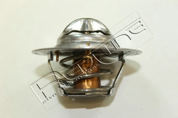 Thermostat, coolant (55KI003)