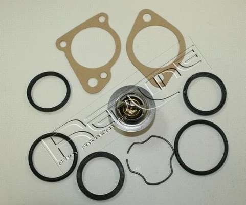 Thermostat, coolant (55DW000)