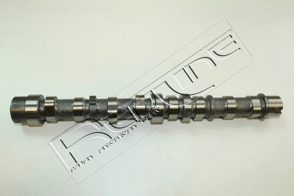 Camshaft (16SZ008)