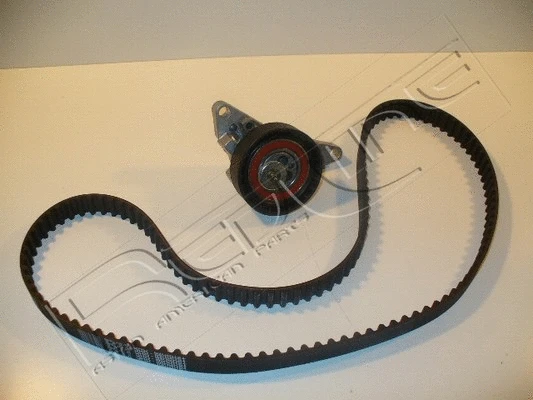 Timing Belt Kit (30CV004)