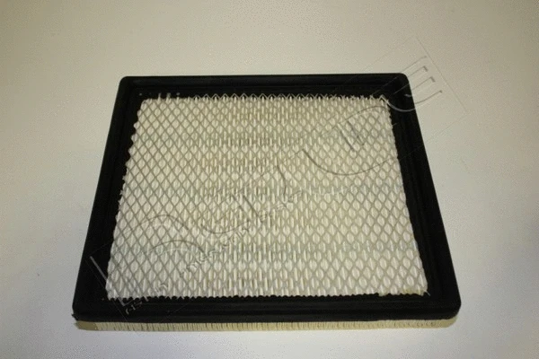Air Filter (36DG010)
