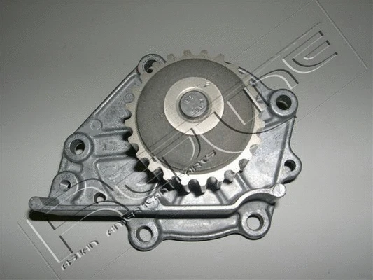 Water Pump, engine cooling (28RV012)