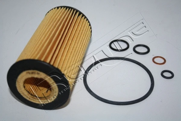 Oil Filter (38RV003)