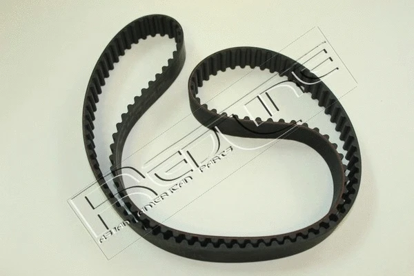Timing Belt (29NI012)
