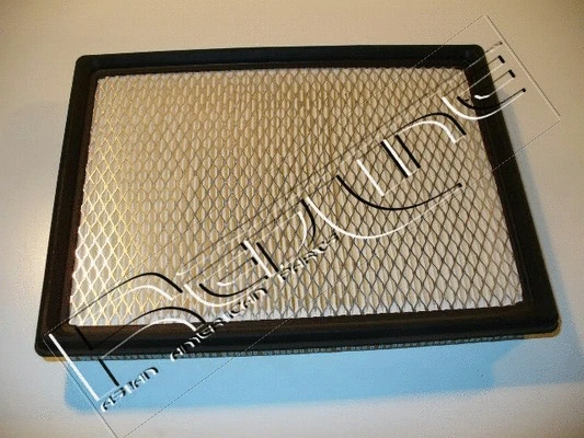 Air Filter (36CH006)